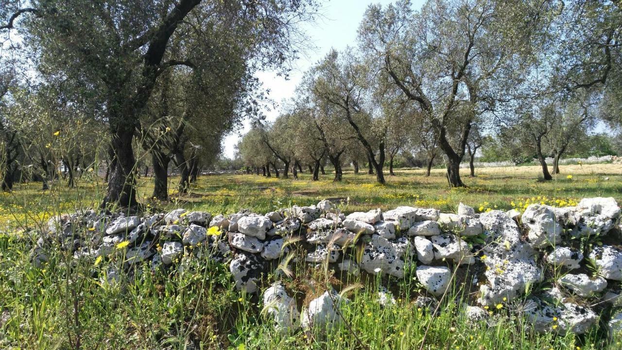 Gli Ulivi *