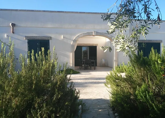 Gli Ulivi