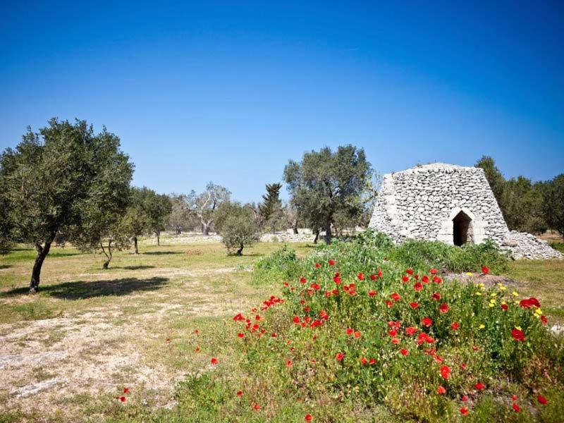Gli Ulivi Giurdignano